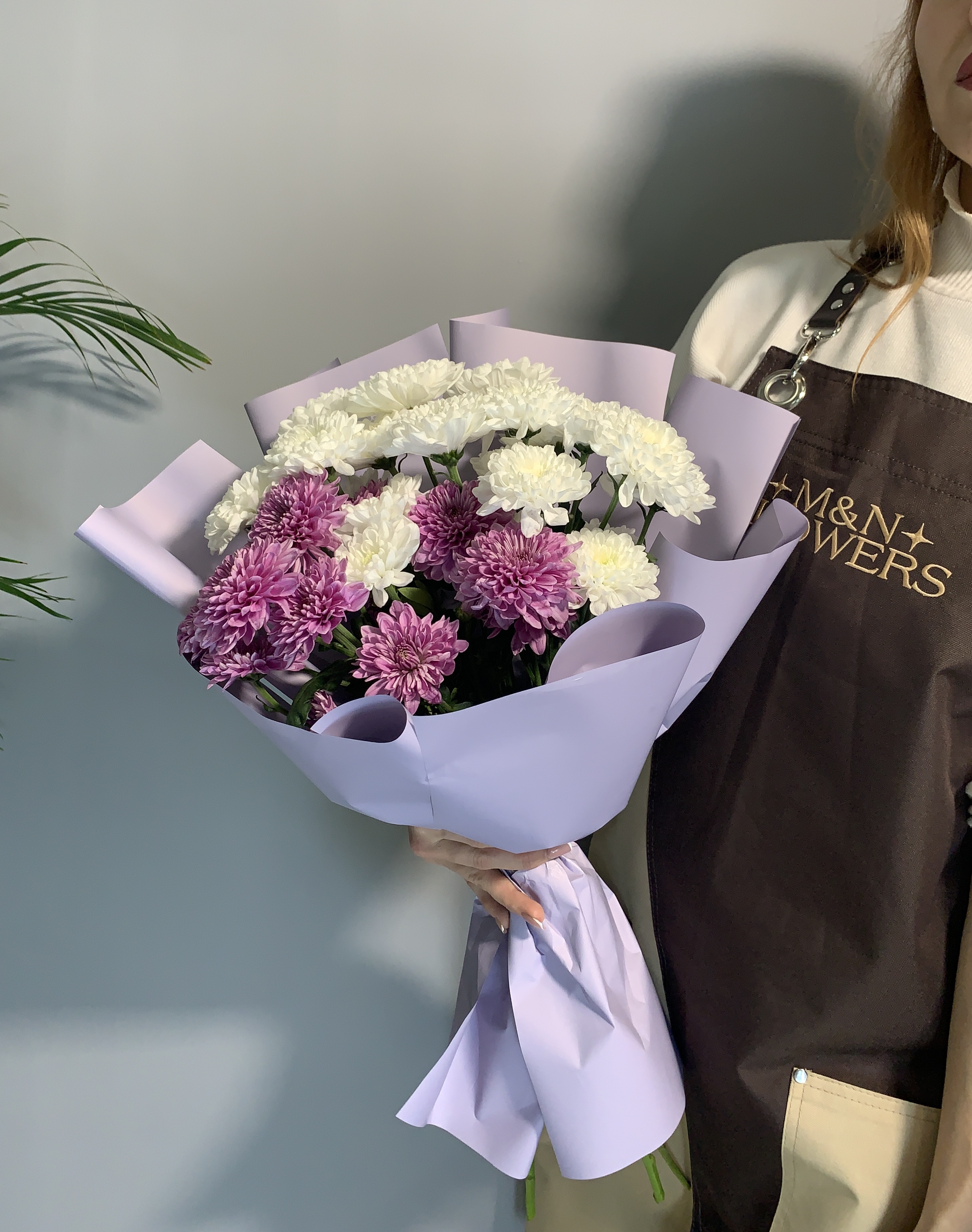 5 Кустовых хризантем